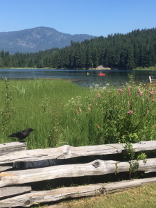 Top Activities for Kids in Whistler in the Summer