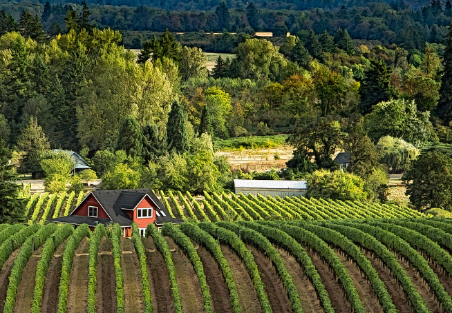 Portland wine tasting