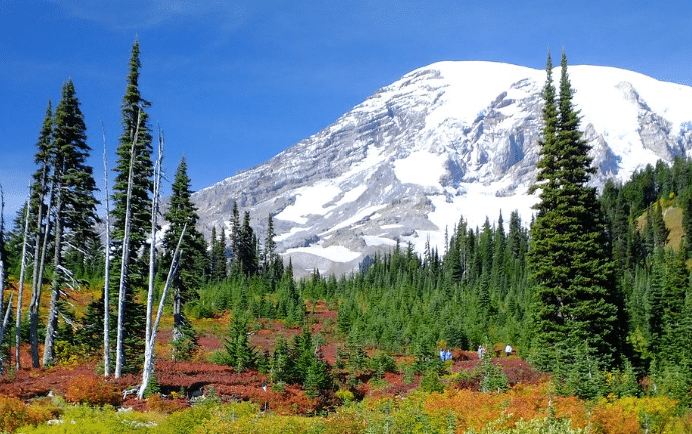 day trips from Seattle