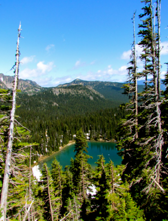 Mount Rainier National Park