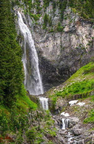 Mount Rainier National Park