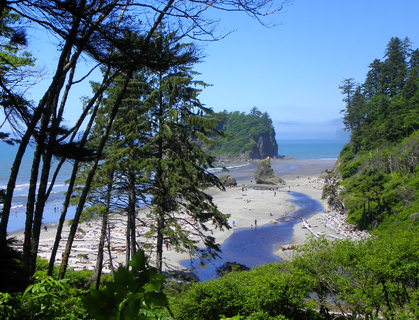 olympic national park