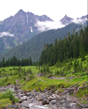 olympic national park