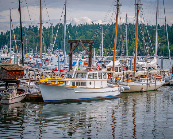 bainbridge island